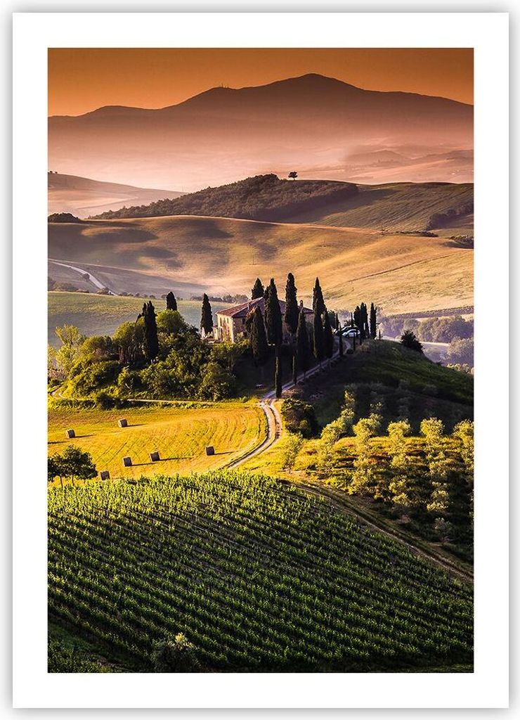 Wandposter 50x70 Cm Zebras Schwarzweiß - Fotokunst Ohne Rahmen