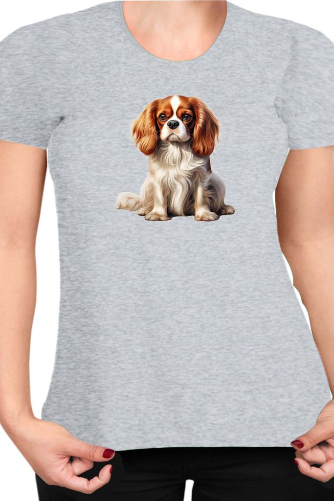 Damen T-Shirt Dogs Breeds Cavalier King Charles Spaniel Dog Breed 006, Lady M / Grau