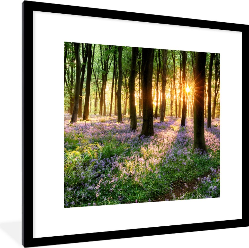 MuchoWow Gerahmtes Poster Wald - Blumen - Lavendel - Sonne - Lila - Natur 40x40 cm - Poster mit Schwarzem Bilderrahmen Wandposter Rahmen Foto Bil...