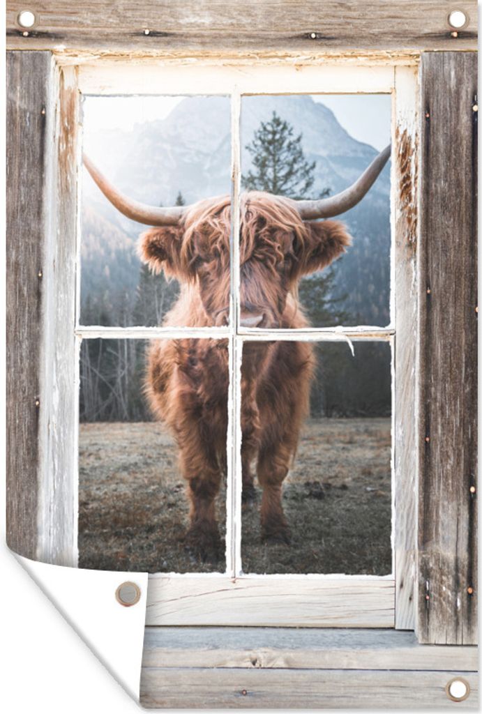 MuchoWow 80x120 cm Outdoor-Poster Gartendeko Sichtschutz Garten Poster für den Garten Schottischer Highlander - Kuh - Ansicht