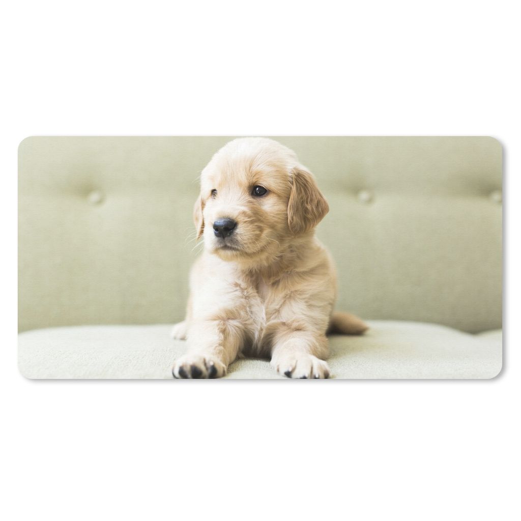 MuchoWow Schreibtischunterlage Golden Retriever Welpe auf dem Sofa liegend 80x40 cm - XXL Mauspad - Gaming Mauspad