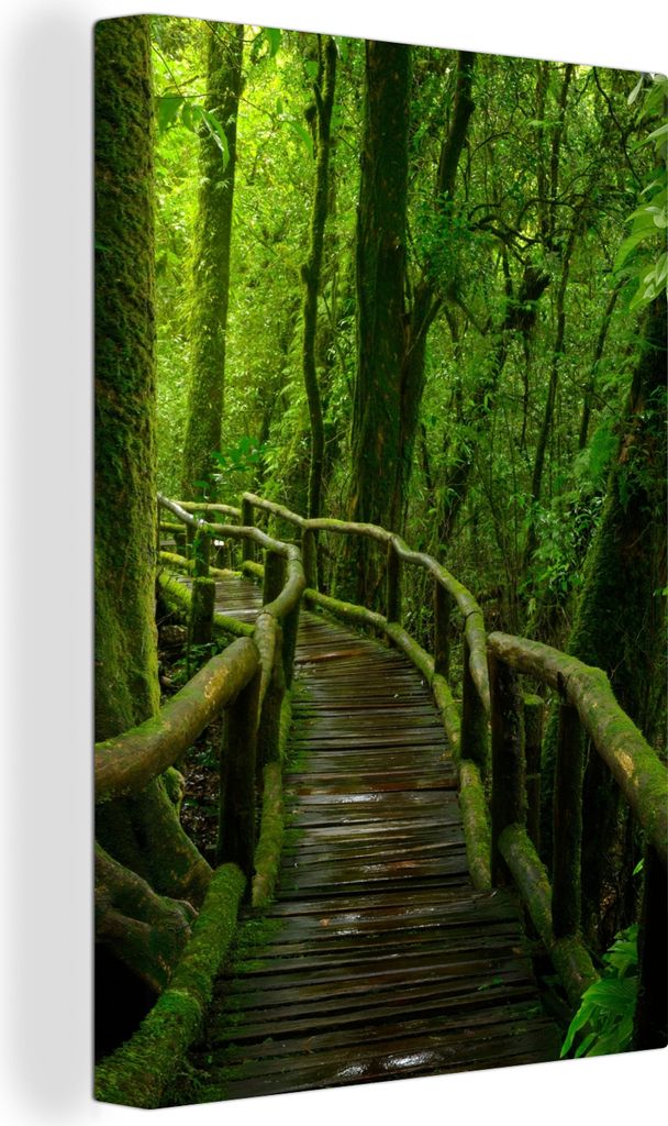 OneMillionCanvasses - Leinwandbilder - 90x140 cm, Dschungel - Brücke - Moos - Natur - Tropisch, Wandbilder Kunstdruck Wanddekoration - Foto auf ...