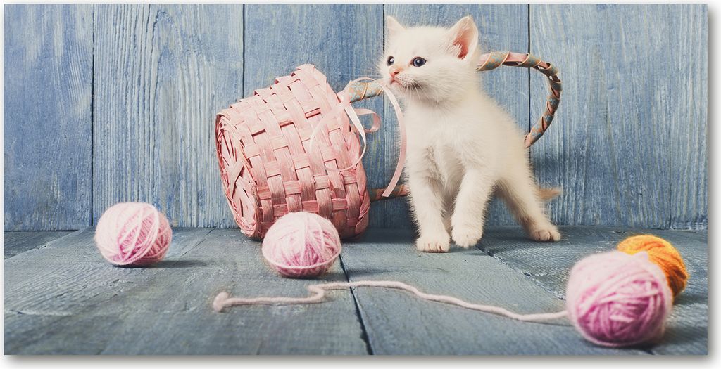 Tulup Leinwandbild -100x50 cm - Wandkunst - Drucke auf Leinwand - Leinwanddruck - Tiere - Rosa - Katze Wọllknäuel