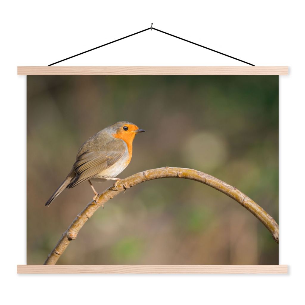 MuchoWow Textilposter Rotkehlchen - Vogel - Natur 120x90 cm mit holzfarbenen Rahmen - Magnetisch