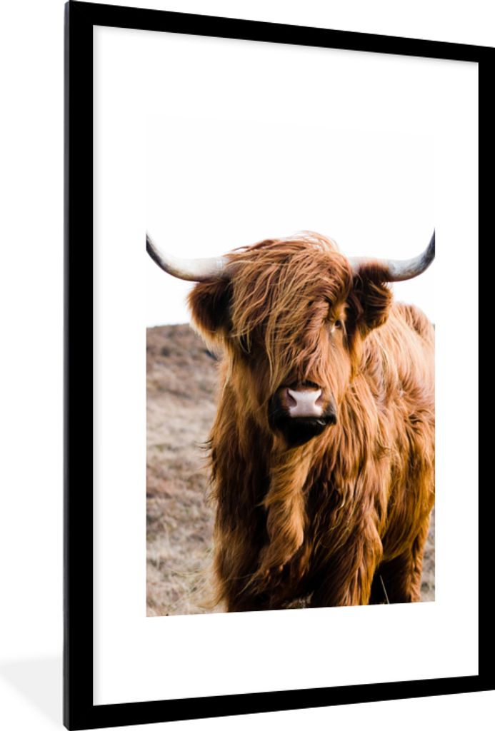 MuchoWow Gerahmtes Poster Schottische Highlander - Landschaft - Kuh - Braun - Tiere - Natur 60x90 cm - Poster mit Schwarzem Bilderrahmen Wandpost...