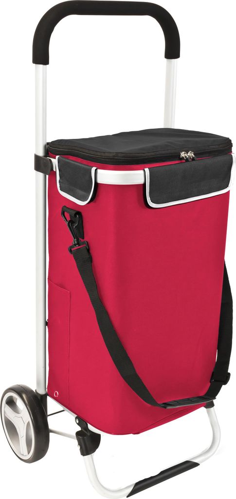 bremermann Chariot d'achat BRINKUM - capacité 45 L, chariot Image du produit 