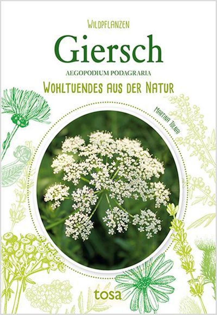 Giersch Immagine del prodotto 