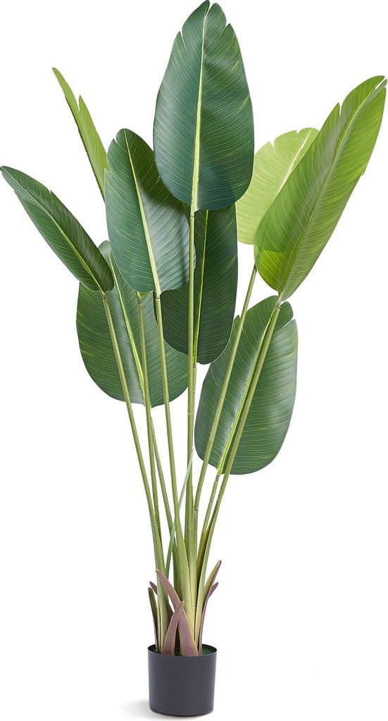 Oiseau de Paradis Artificiel 700x700x1524mm Plante Image du produit 