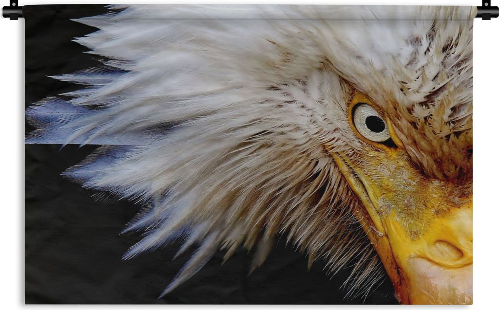 MuchoWow Wandteppich Wandbehang Vogel - Auge - Schnabel 150x100 cm Tapisserie Dekoration Wandtuch - Waschbar - Tapisserien - Wand-Decke