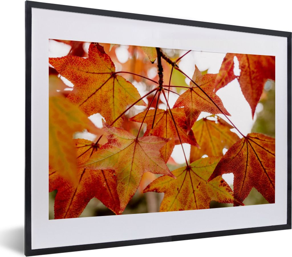 MuchoWow Gerahmtes Poster Herbstzweige - Blätter - Jahreszeiten - Landleben 40x30 cm - Poster mit Schwarzem Bilderrahmen Wandposter Rahmen Foto ...