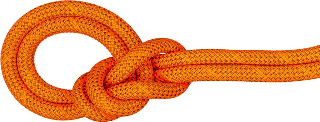 Corde d'Escalade Simple Mammut Crag Dry 9,8 mm en 60m pour la Falaise