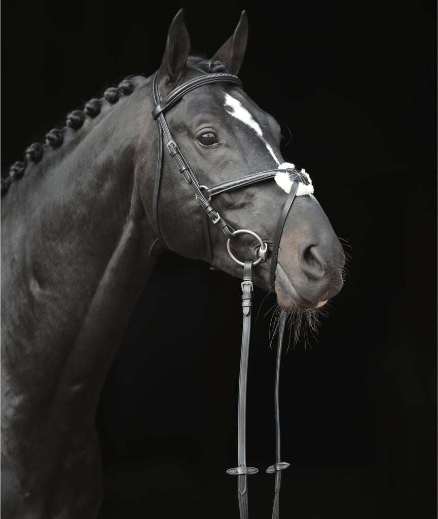 Covalliero Zaumzeug Cancun Pony Schwarz Produktbild 2
