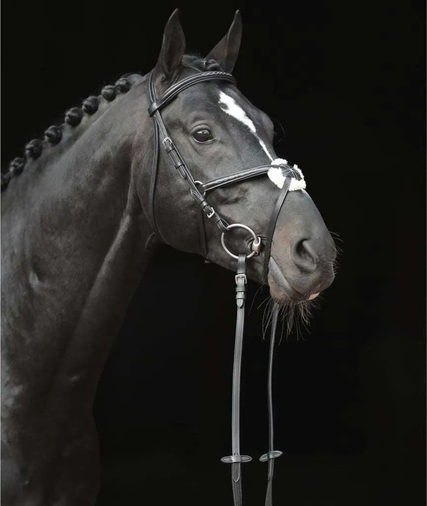 Cwell Equine - Briglia Messicana In Pelle Con Redini - Set Completo Per Cavallo/Pony - Morbida E Resistente Con Cristalli - Ideale Per Competizioni E Uso Quotidiano - Colore Marrone - 3