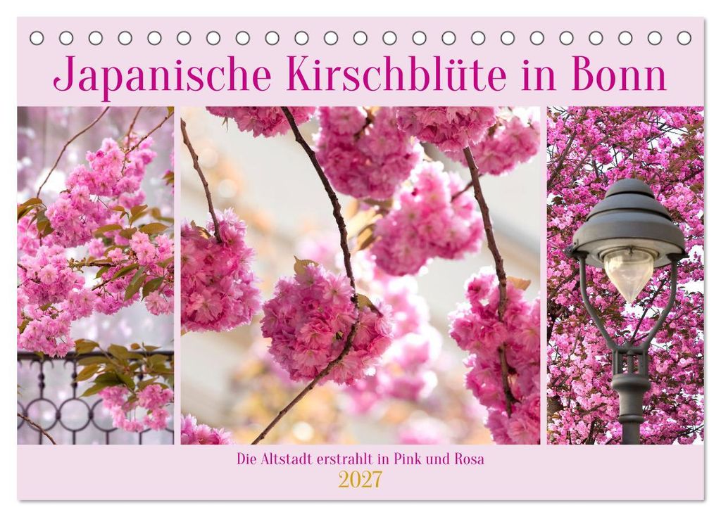 Japanische Kirschblüte in Bonn (Tischkalender 2027 DIN A5 quer), CALVENDO Monatskalender