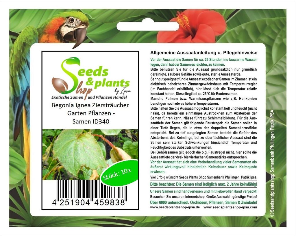 10x Begonia ignea Ziersträucher Garten Pflanzen - Samen ID340
