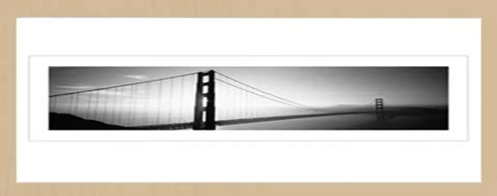 Offerta Quadro Golden Gate Bridge San Francisco + Cornice Shinsuke