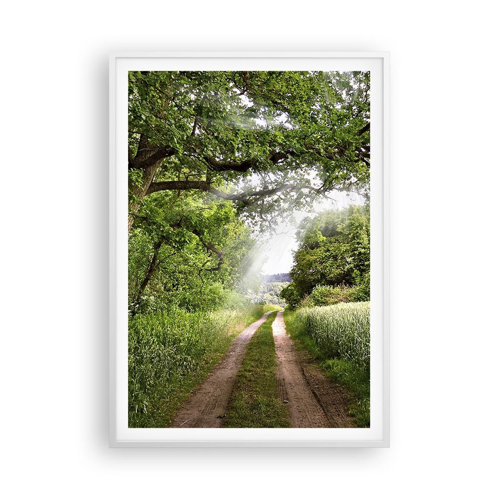Gerahmtes Poster - Weißer Rahmen - Pfad Natur Wald Grün - 70x100 cm - Wand Bild - Wanddeko - Wandbilder - Kunstposter - Wandposter - Bilderrahmen...
