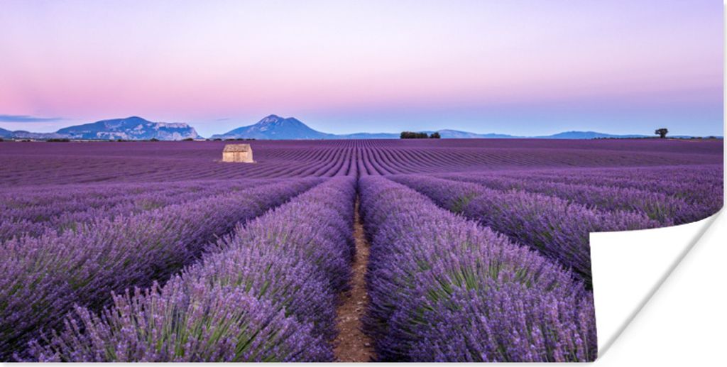MuchoWow Poster Lavendelfeld bei Sonnenuntergang in Südfrankreich 160x80 cm - Foto Poster