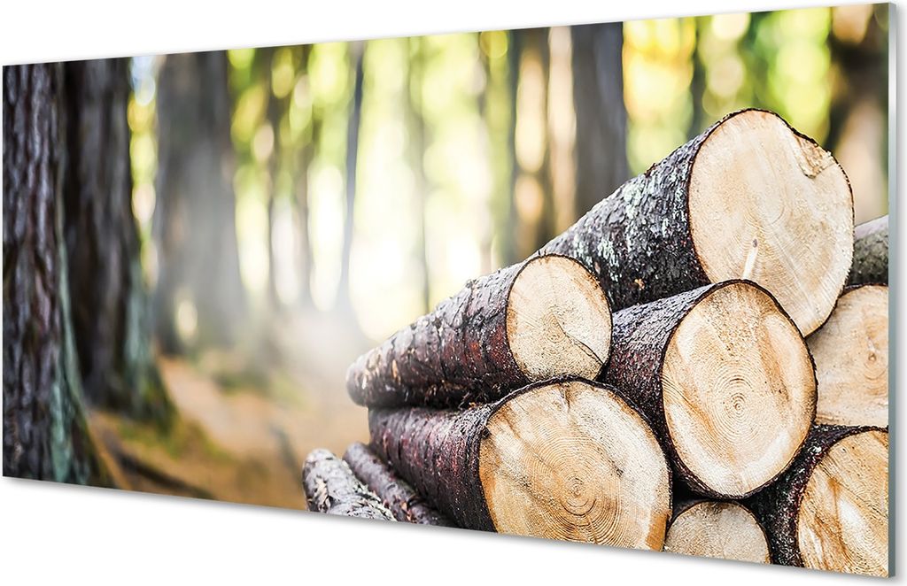 Glasbilder 140x70 Wandkunst Holz Wald Natur