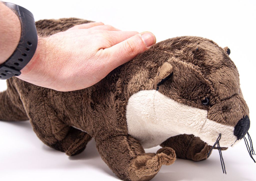 Cornelißen Schneekugel Poly Mini - Otter Motiv Mit Glitzer