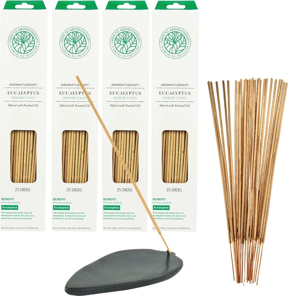 Räucherstäbchen Aromatherapie Eukalyptus 100 Stäbchen inkl. Räucherstäbchenhalter aus Speckstein