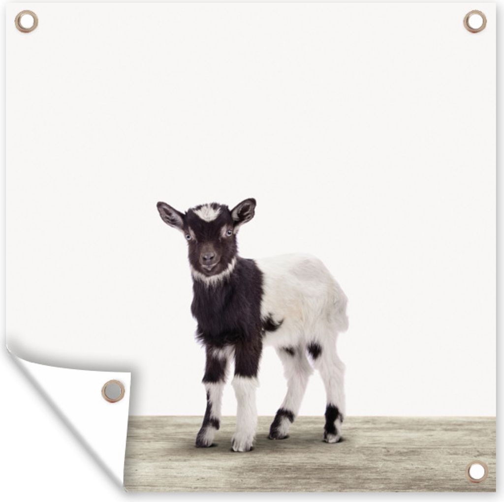MuchoWow 50x50 cm Outdoor-Poster Gartendeko Sichtschutz Garten Poster für den Garten Tiere - Ziege - Schwarz - Weiß