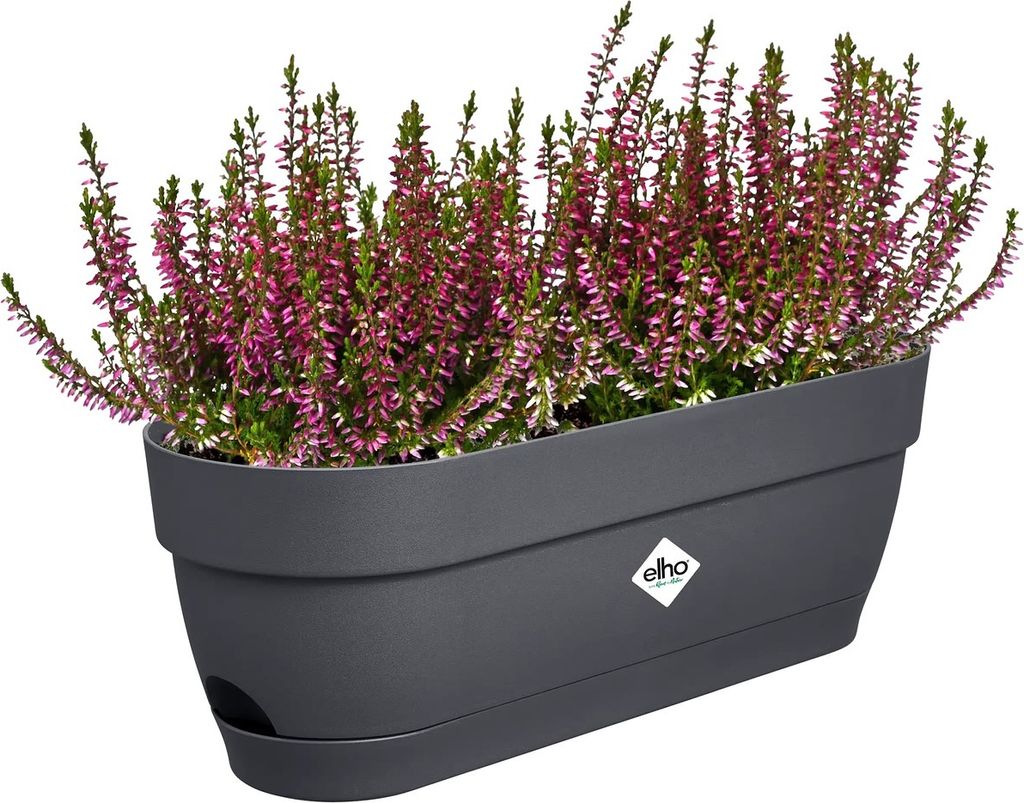 vibia campana balkonkasten 50cm anthrazit
