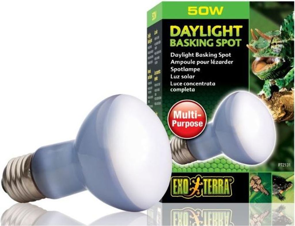 EXO TERRA Tageslicht 50W (Neodym-Glühbirne) Exo terra
