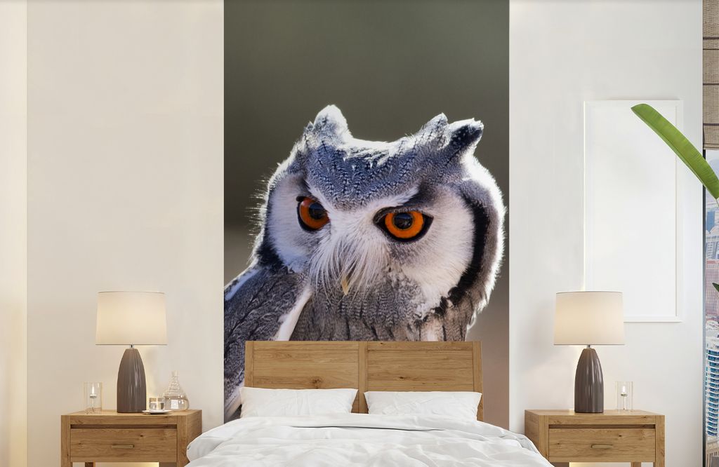 MuchoWow Fototapete für Wohnzimmer oder Schlafzimmer Wandtapete Vinyl Motivtapete Eule - Makro - Tier - 120x240 cm - Hintergrundbild