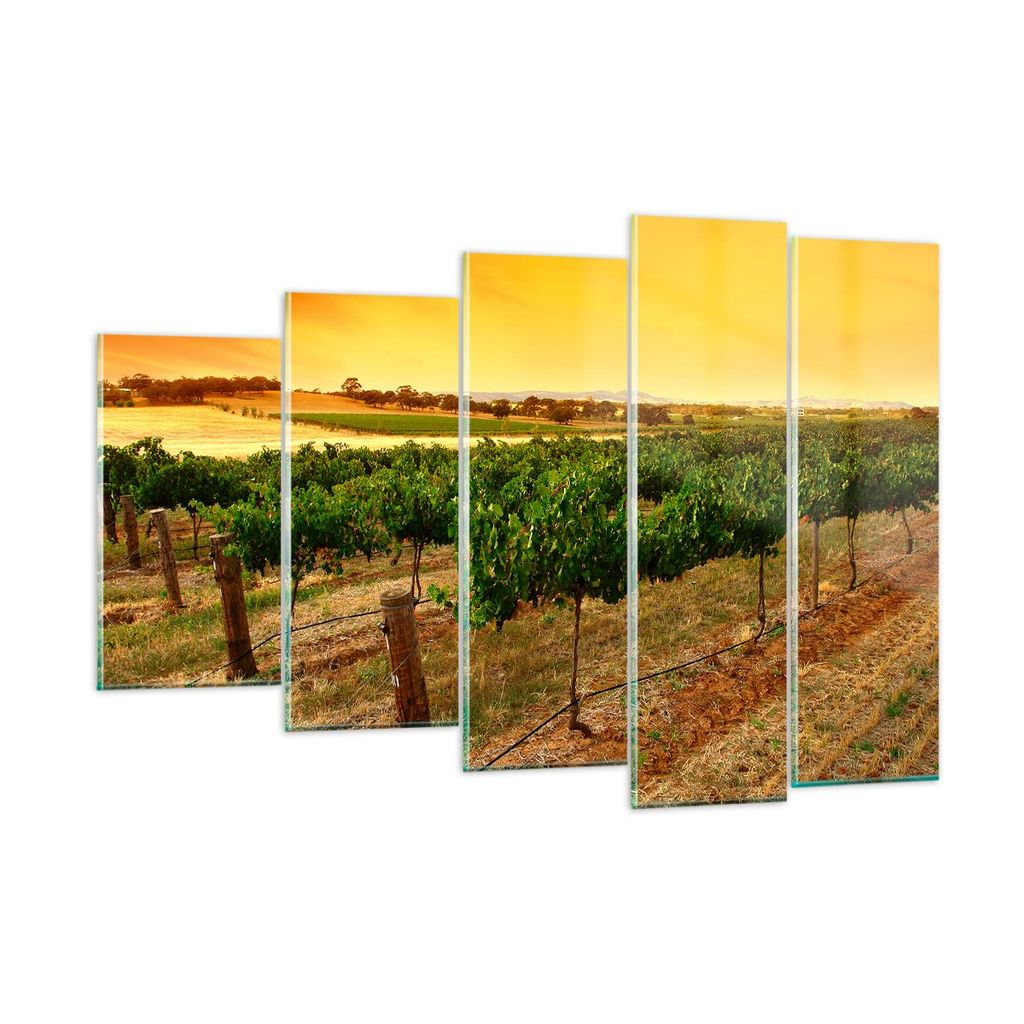 Bilder auf glas - Landschaft Weinberg Sonnenuntergang - 150x100cm - Glasbilder - Wandbilder - Kunstdruck - Wanddekoration aus Glas - Glas Bilder - ...