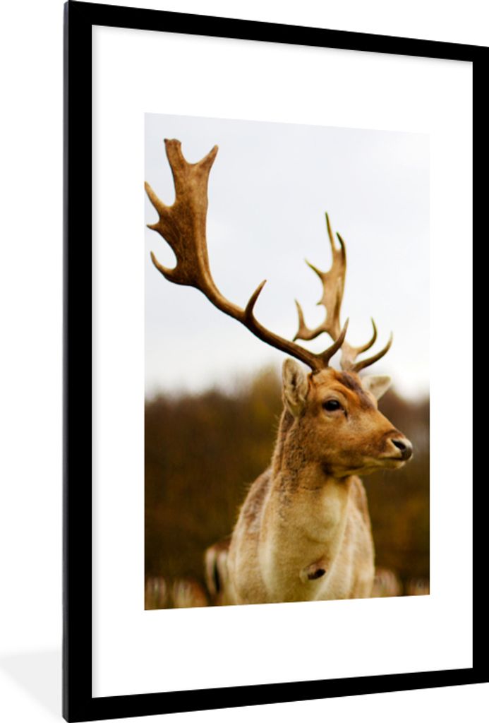 MuchoWow Gerahmtes Poster Damhirsch - Wald - Herde - Tiere - Natur 60x90 cm - Poster mit Schwarzem Bilderrahmen Wandposter Rahmen Foto Bilder - D...