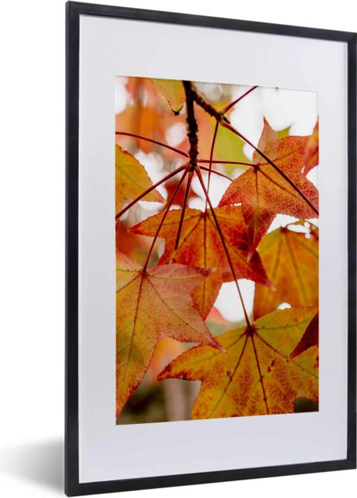 MuchoWow Gerahmtes Poster Herbstzweige - Blätter - Jahreszeiten - Landleben 40x60 cm - Poster mit Schwarzem Bilderrahmen Wandposter Rahmen Foto ...