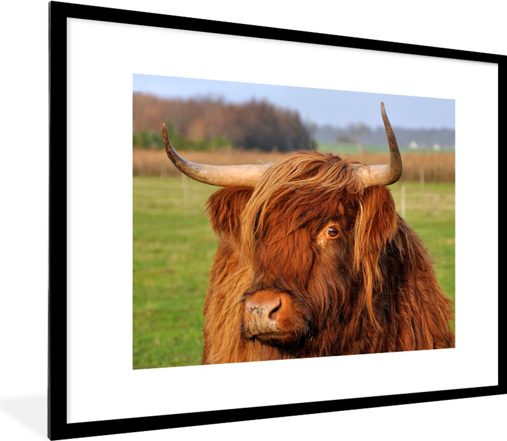 MuchoWow Gerahmtes Poster Schottischer Highlander - Gras - Baum 80x60 cm - Poster mit Schwarzem Bilderrahmen Wandposter Rahmen Foto Bilder - Schl...