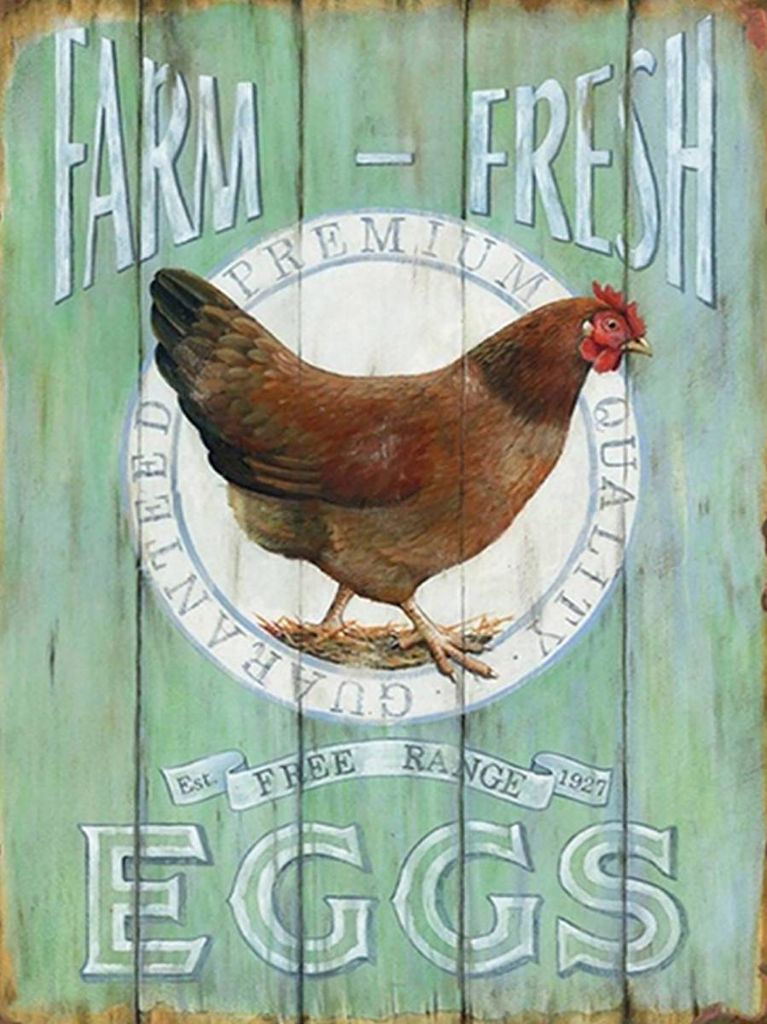 vianmo Holzschild 40x30 cm Huhn Farm fresh Eggs free range Produktbild 