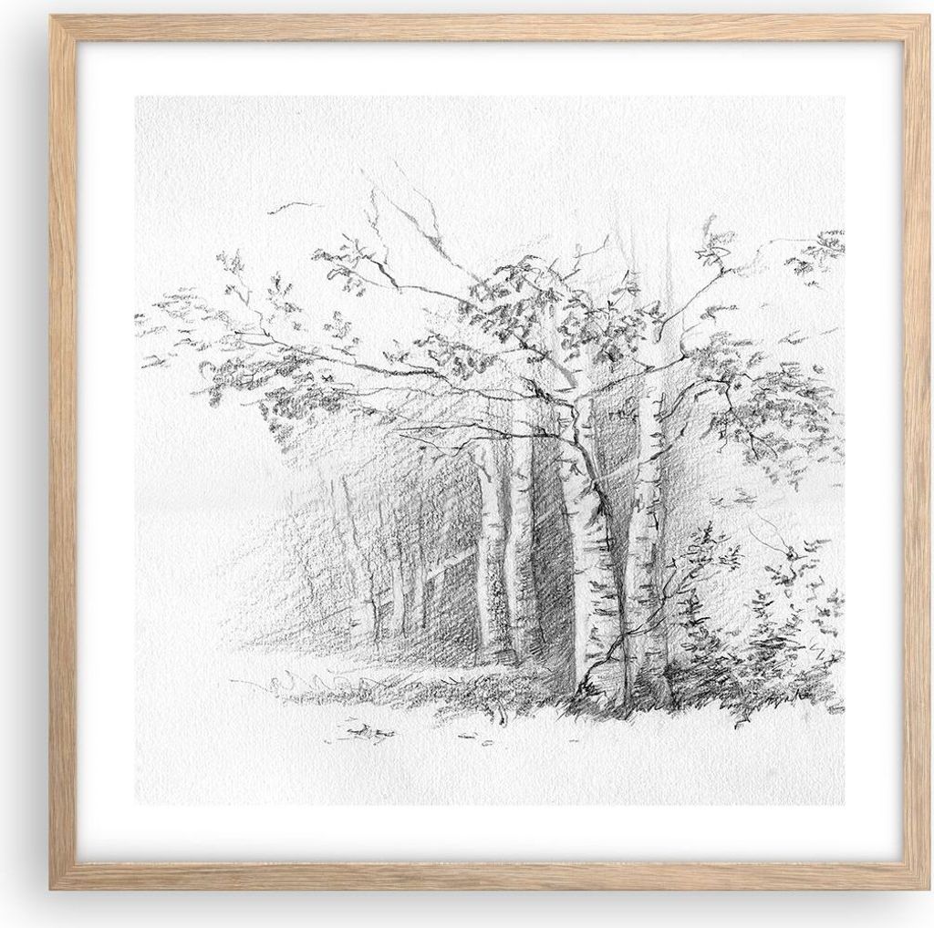 Gerahmtes Poster - Rahmen in heller Eiche - Skizze Wald Birke - 50x50 cm - Wand Bild - Wanddeko - Wandbilder - Wandposter - Bilderrahmen - Bilder -...