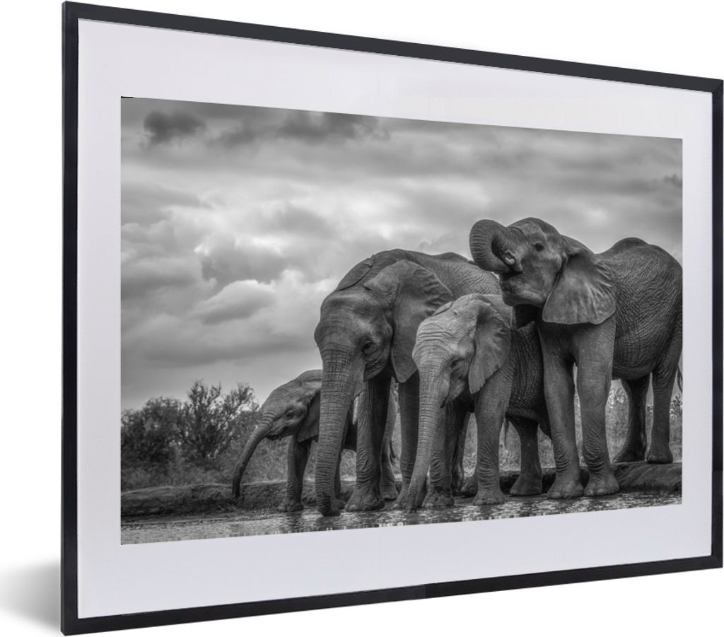 MuchoWow® MuchoWow® Gerahmtes Poster Elefant - Tiere - Produktbild 