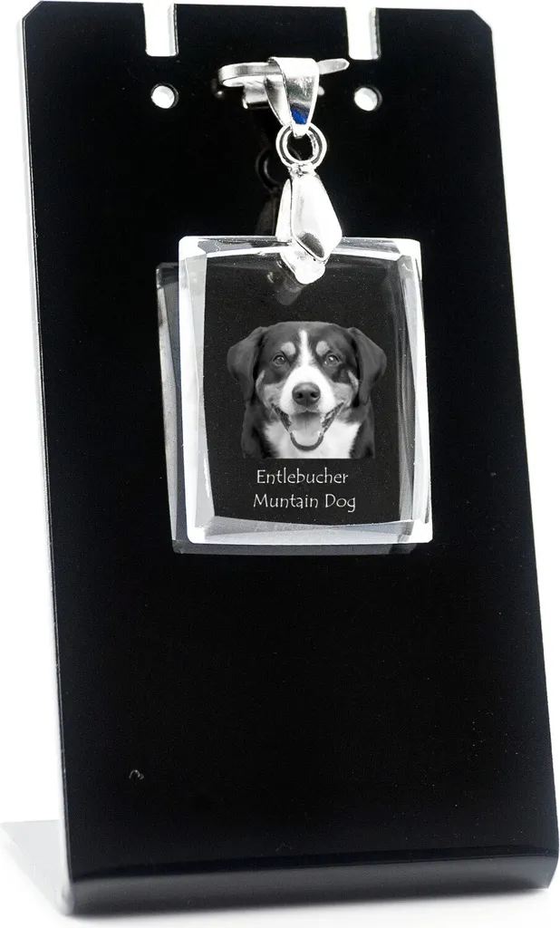Cane da pastore dell'Entlebuch - Ciondolo in cristallo con cane, collana con foto, gioielli unici di Art-Dog