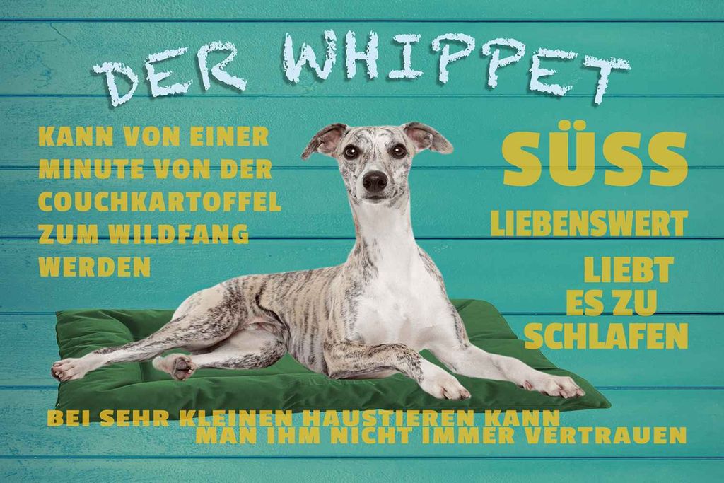 vianmo Holzschild 12x18 cm der Whippet Hund süss lebenswert Tier Haustier