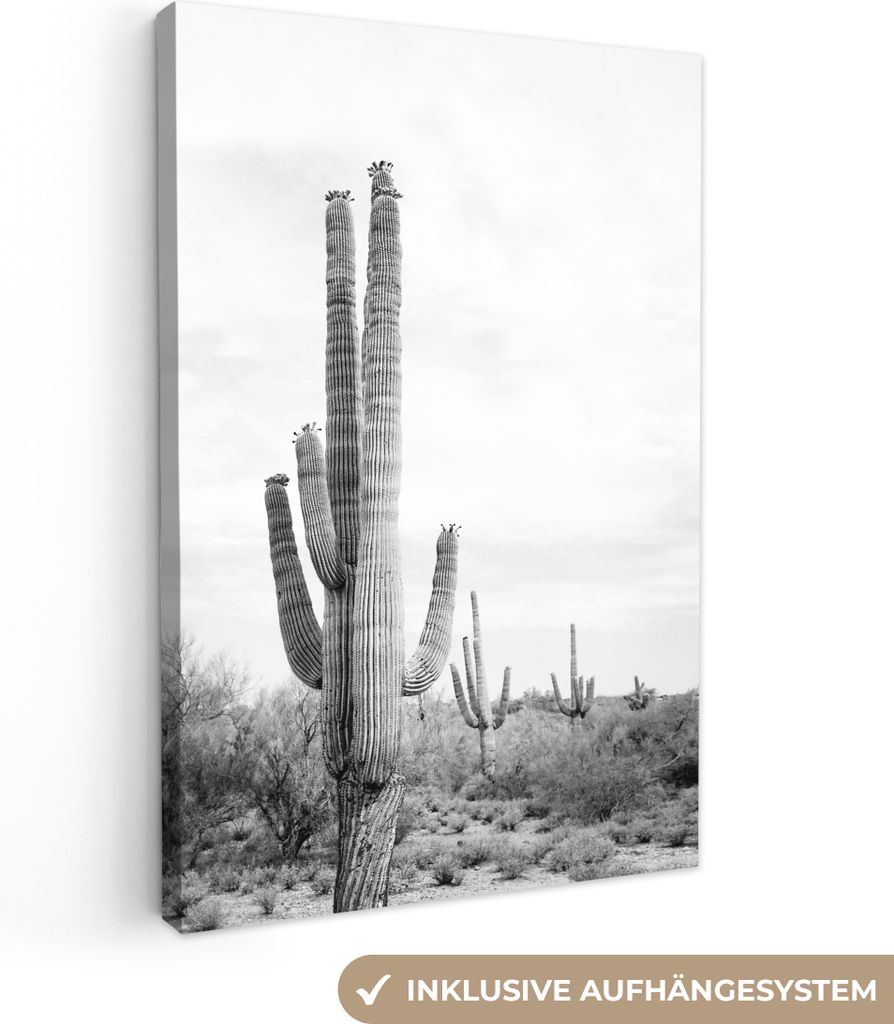 OneMillionCanvasses - Leinwandbilder - 90x140 cm, Kaktus - Schwarz und weiß - Natur - Pflanzen, Wandbilder Kunstdruck Wanddekoration - Foto auf ...