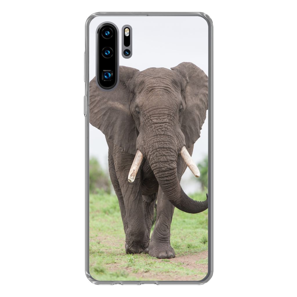 MuchoWow Handyhülle Schutzhülle Hülle für Huawei P30 Pro Elefant - Tiere - Gras - Natur Silikon Softcase Handy Hülle - Schutzdeckel