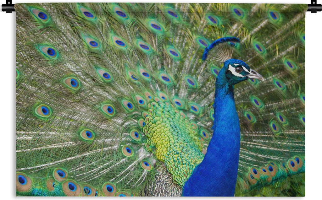 MuchoWow Wandteppich Wandbehang Profil - Porträt - Pfau 60x40 cm Tapisserie Dekoration Wandtuch - Wanddekorationen