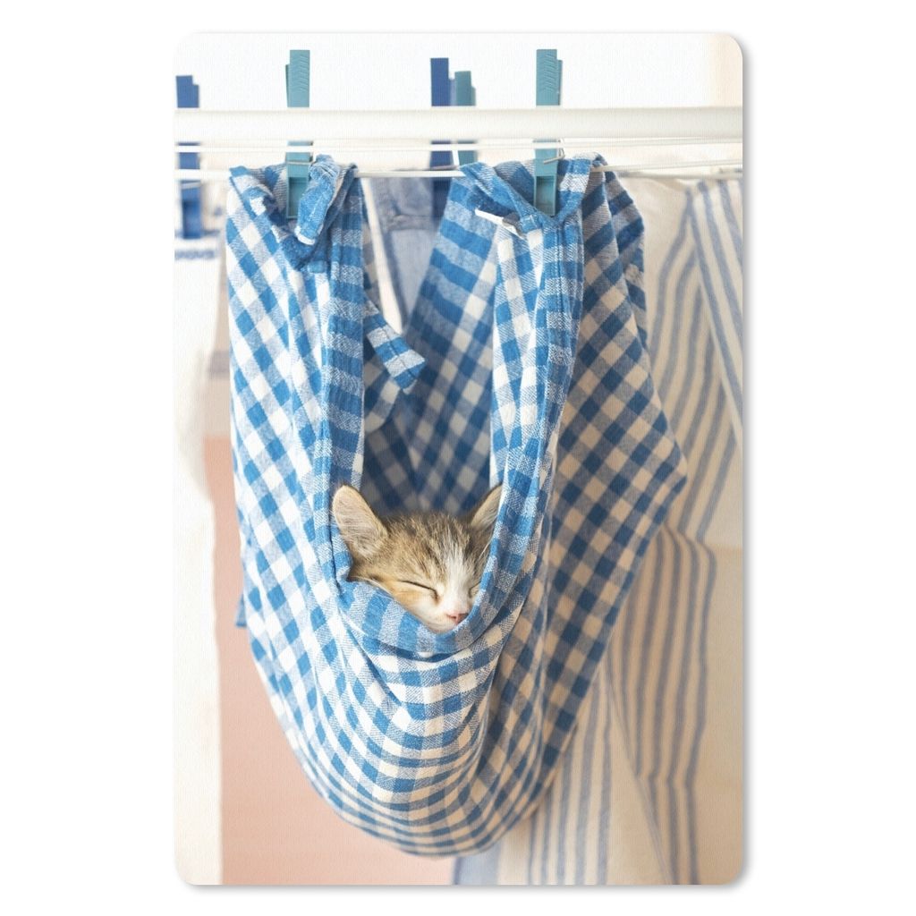 MuchoWow Mauspad Mousepad Katze - Geschirrtuch - Schlafen 18x27 cm - Mousepads - Maus Mat - Pad - Mausunterlage