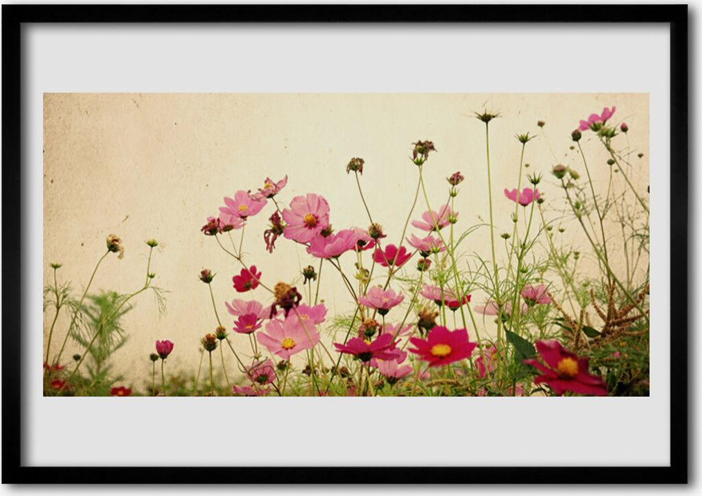 Bild 70x50 MDF-Rahmen Wandkunst Blumen Pflanzen Natur