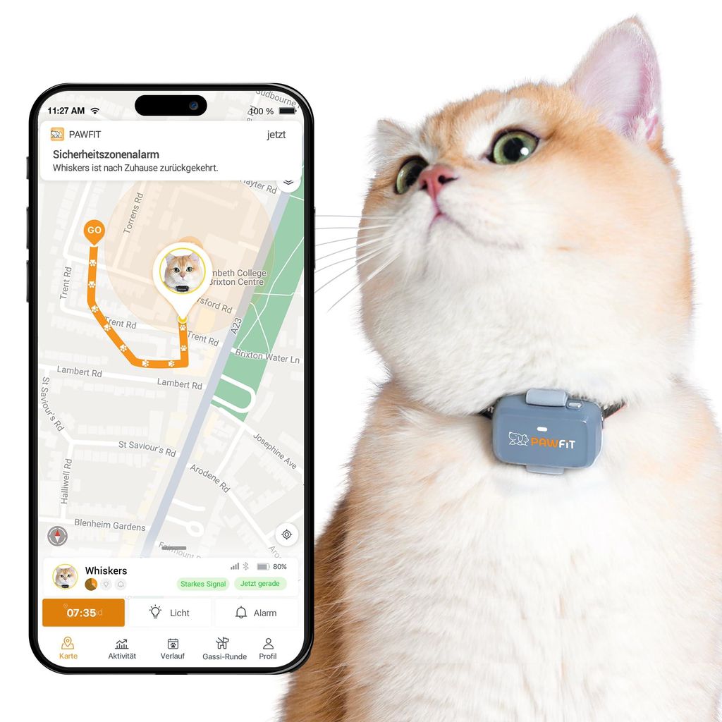 Pawfit Lite für Katzen 4G GPS-Tracker | Ultrakompakt <18g | Echtzeit-Tracking & Aktivität | Standortverlauf | Sicherheits-Halsband inkl. | Fliede...