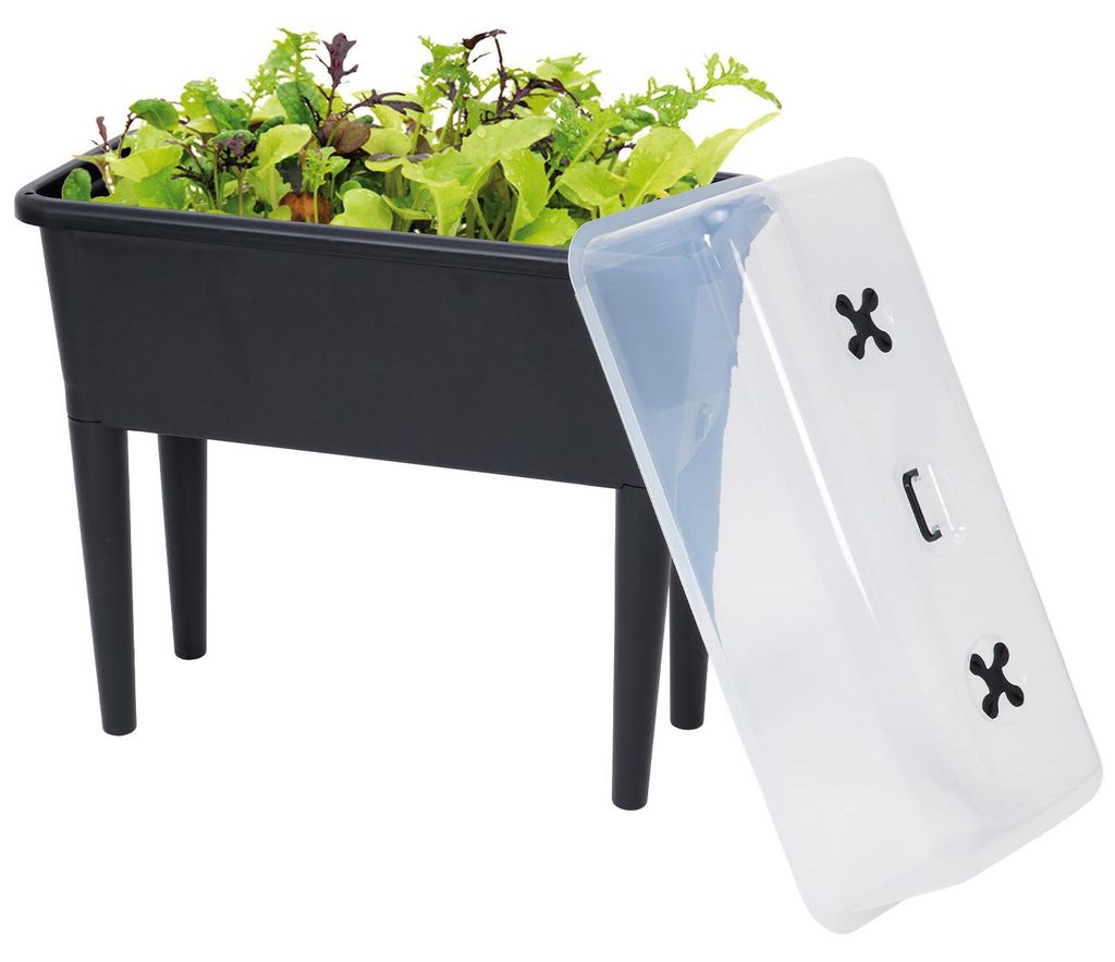 Brixy Anzuchttisch auf Füßen XXL – Anzuchtkasten – Rechteckig – 76 x 37 x 85 cm – 70 l – Für drinnen