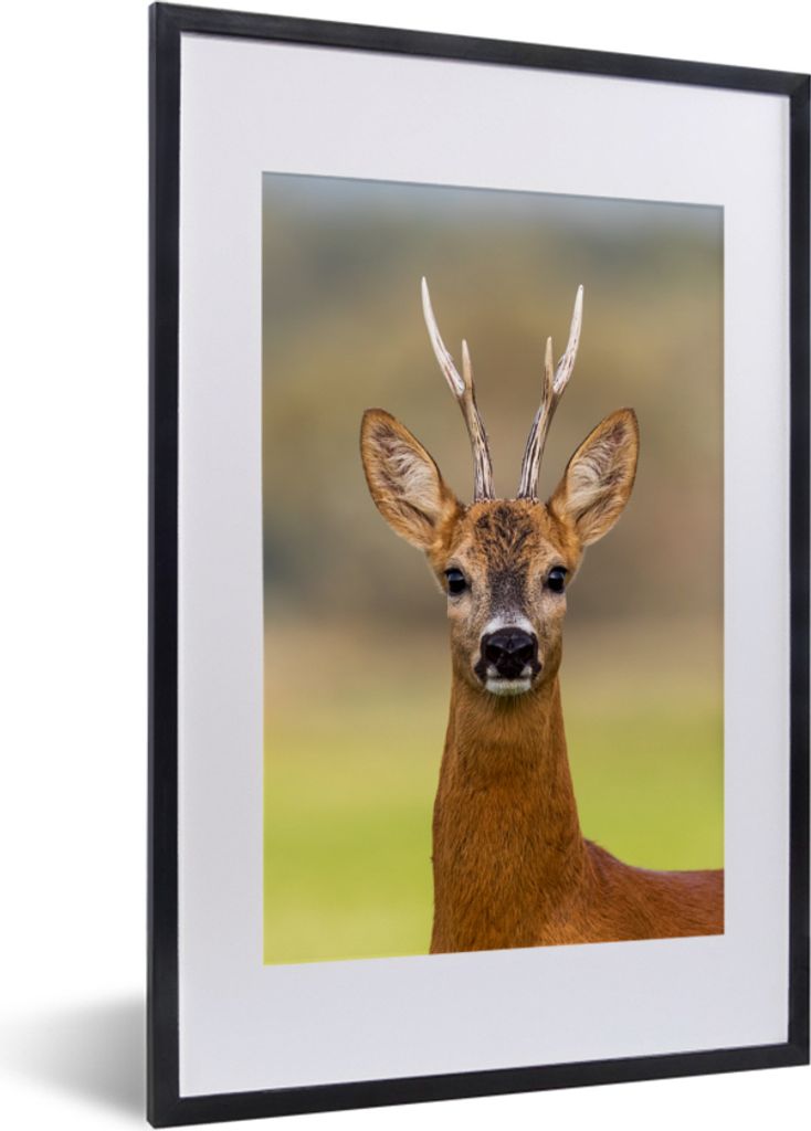 MuchoWow® MuchoWow® Gerahmtes Poster Hirsch - Geweih - Produktbild 