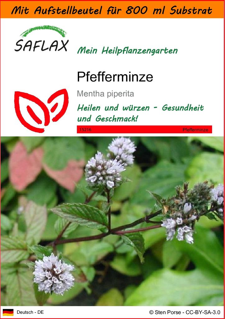 SAFLAX - Garden in the Bag - Heilpflanzen - Pfefferminze - 300 Samen - Mit Anzuchtsubstrat im praktischen, selbst aufstellenden Beutel - Mentha pip...