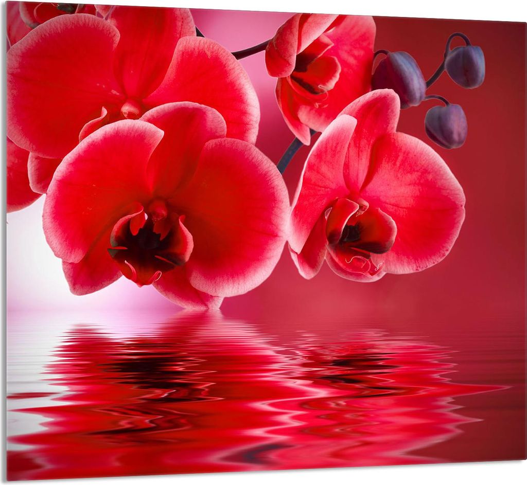 GLASPLATTE FÜR KÜCHE 65x60 Orchidee