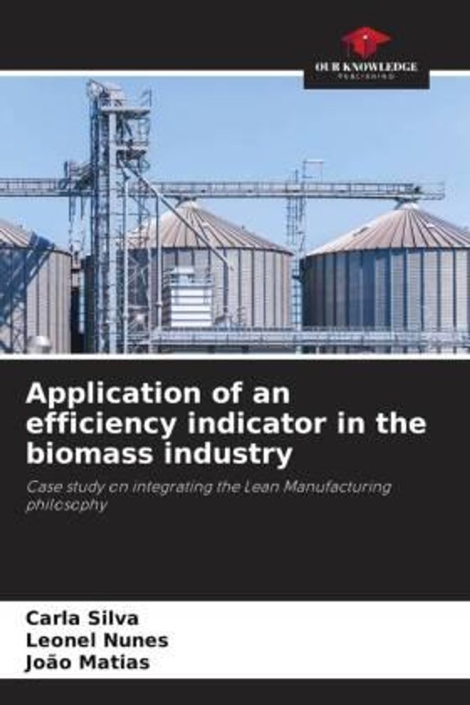Application of an efficiency indicator in the biomass industry