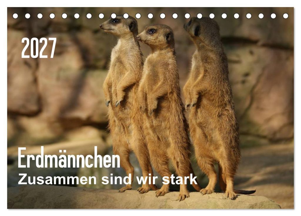 Erdmännchen – Zusammen sind wir stark (Tischkalender 2027 DIN A5 quer), CALVENDO Monatskalender